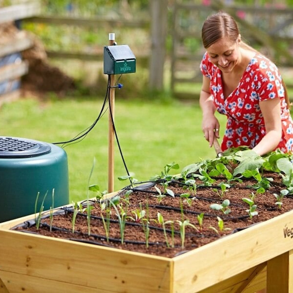 Irrigatia C-24 Automatic Watering System