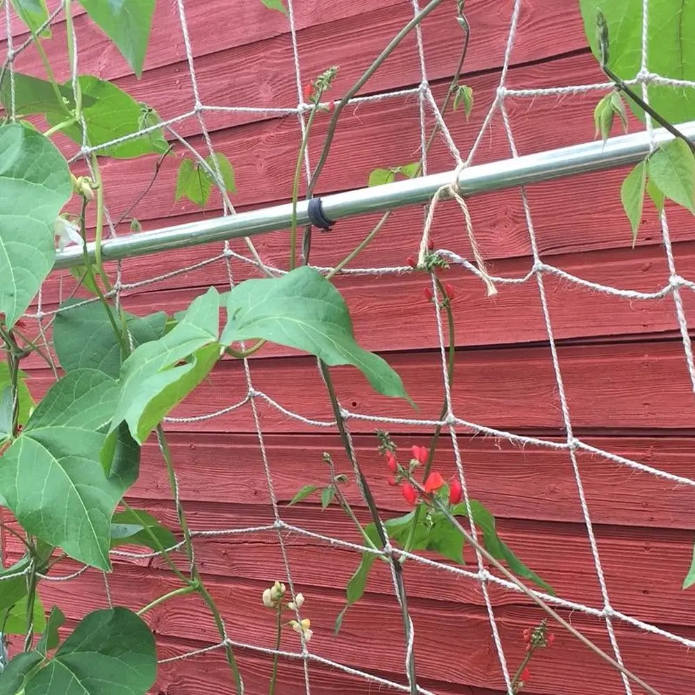 Green leaves and red flowers on jute netting against a red wooden wall