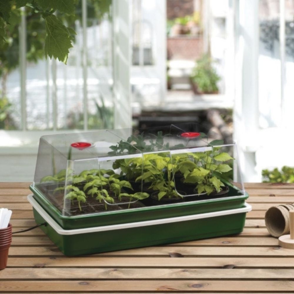 Green heated plastic propagator with seedlings on a wooden table