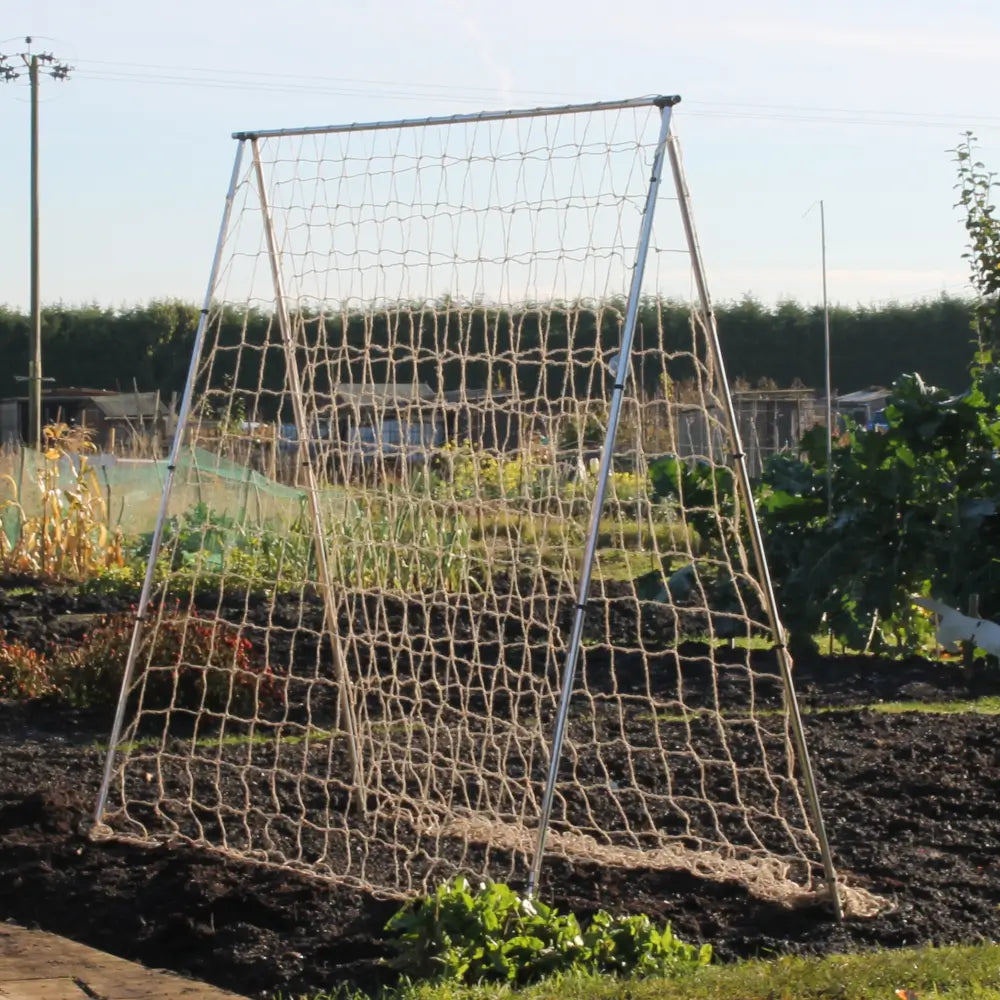 pea and bean frame showing jute netting