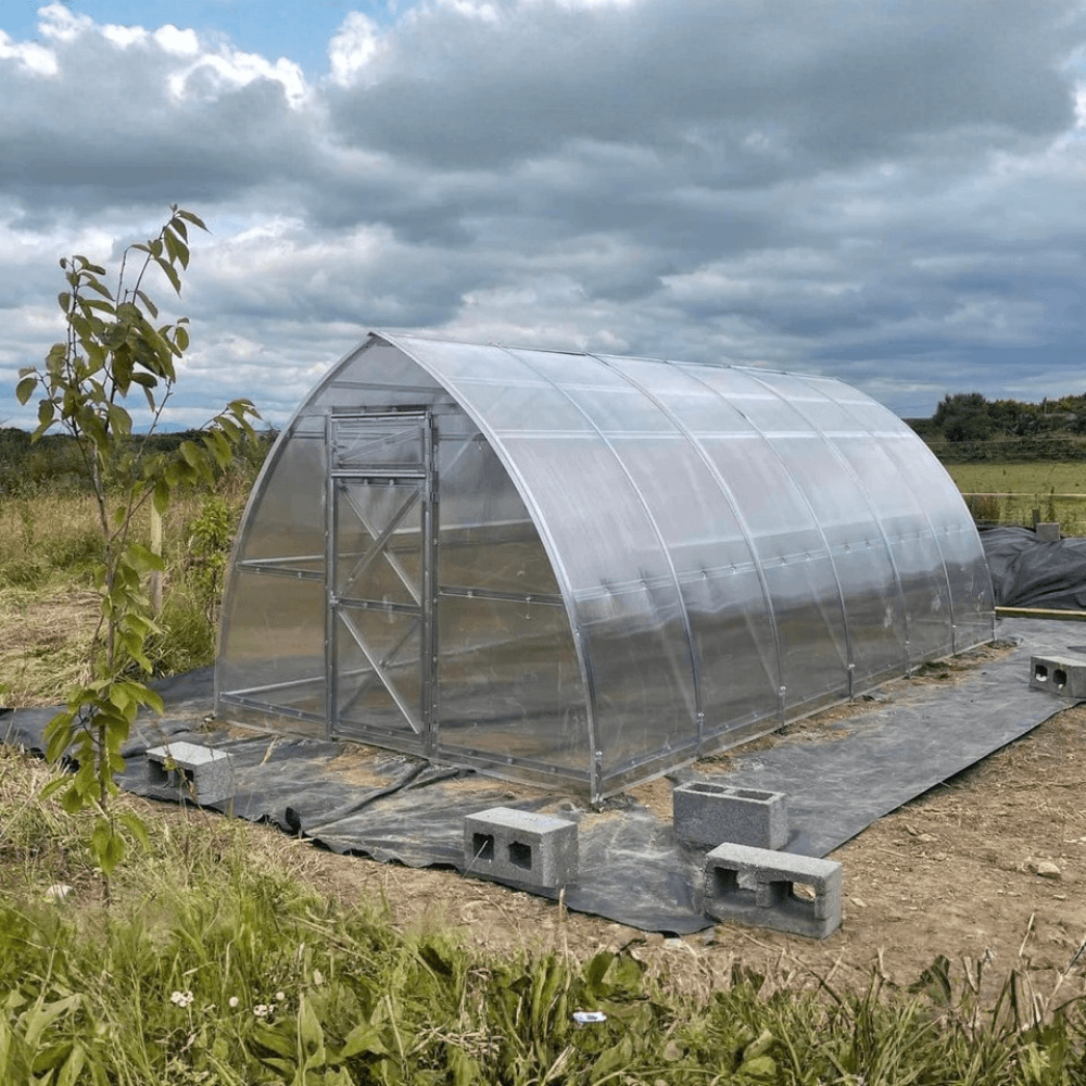 polytunnel greenhouse on a black material by grass