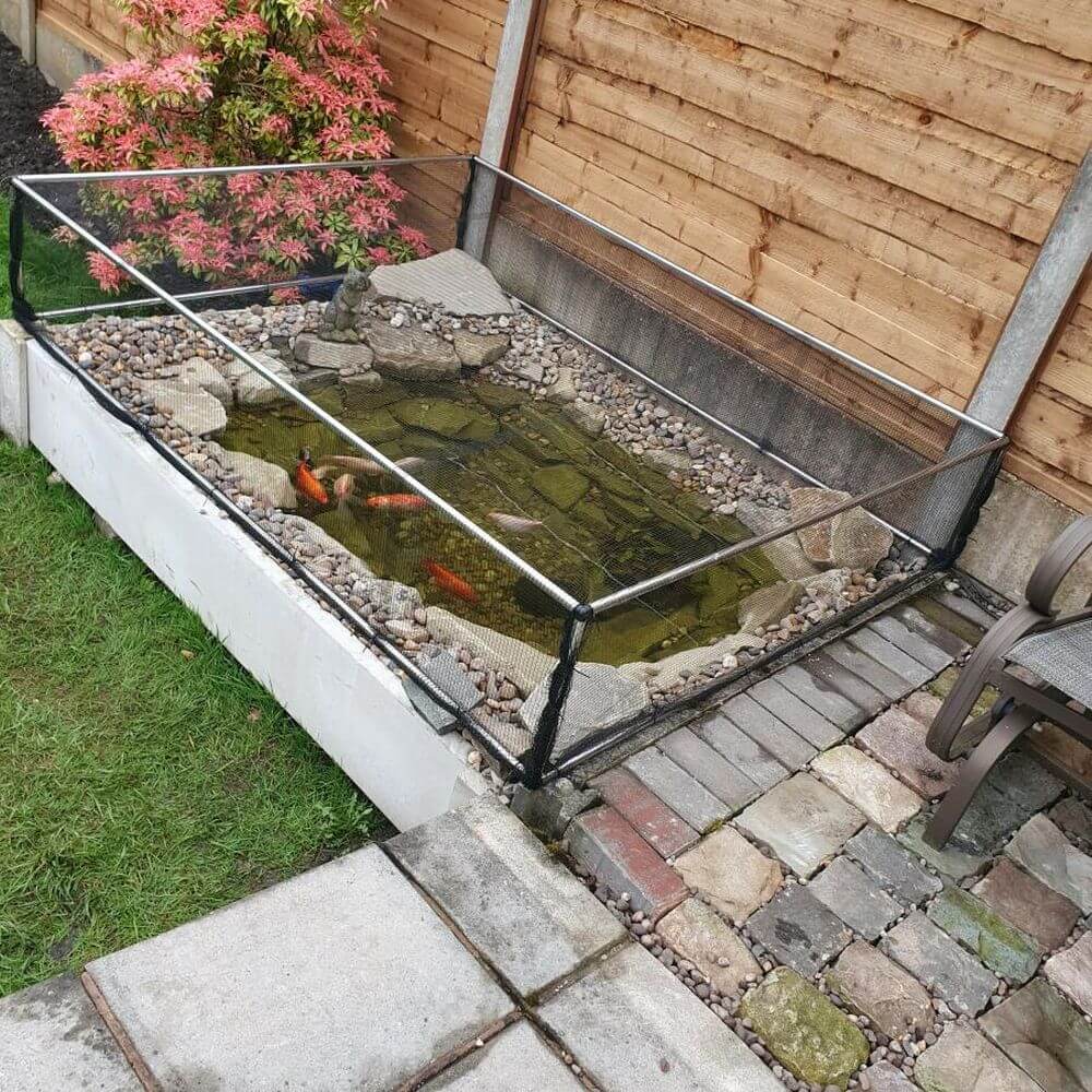 Small garden pond with fish, surrounded by a metal cover with netting