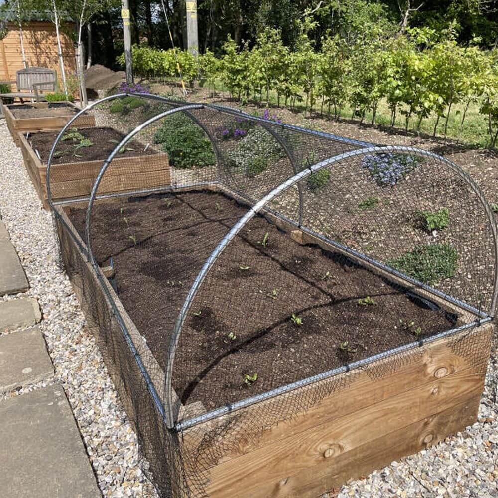Wooden raised garden bed with bird netting over high top garden hoops