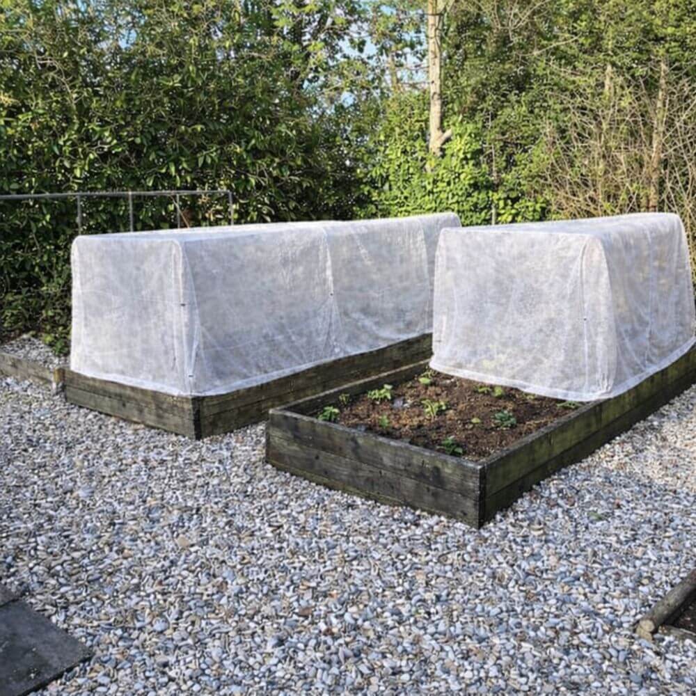Two raised garden beds with garden cages covered in fleece