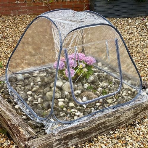 Portable Pop-Up Greenhouse Cloche Growhouse
