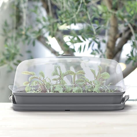Long thin propagator on a windowsill