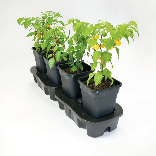 Quadro Planter