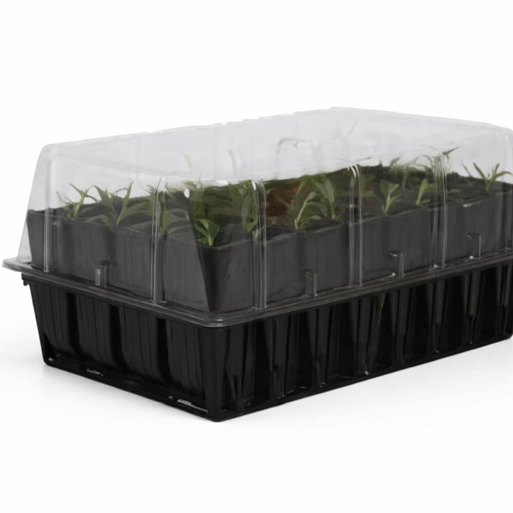 Rapid rootrainer with lid on white background