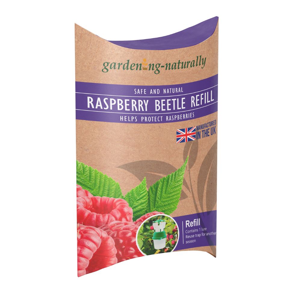 raspberry trap beetle refill