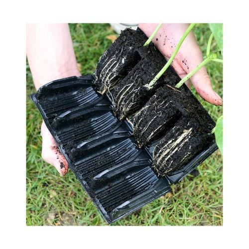 Root Trainer Plant Pot