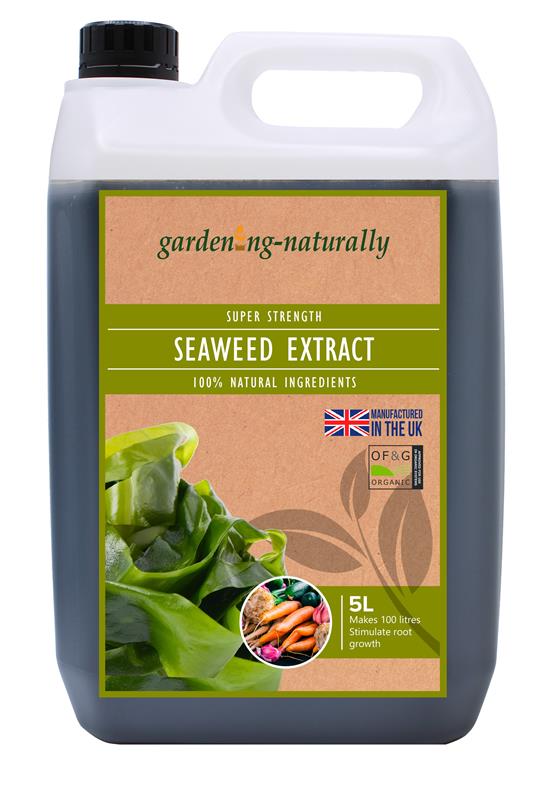 seaweed extract natural ingredients