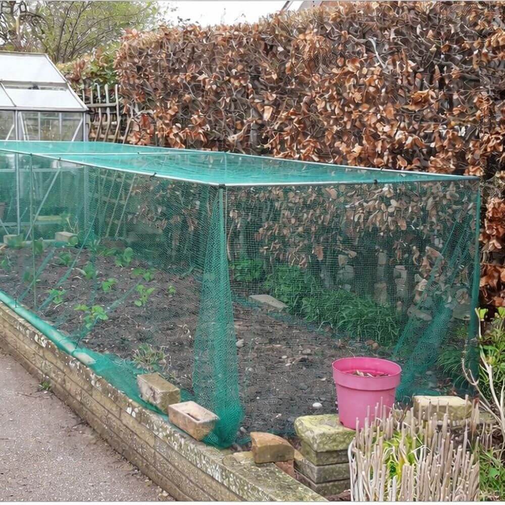Vegetable garden cage with green netting, pink bucket, and stone wall.