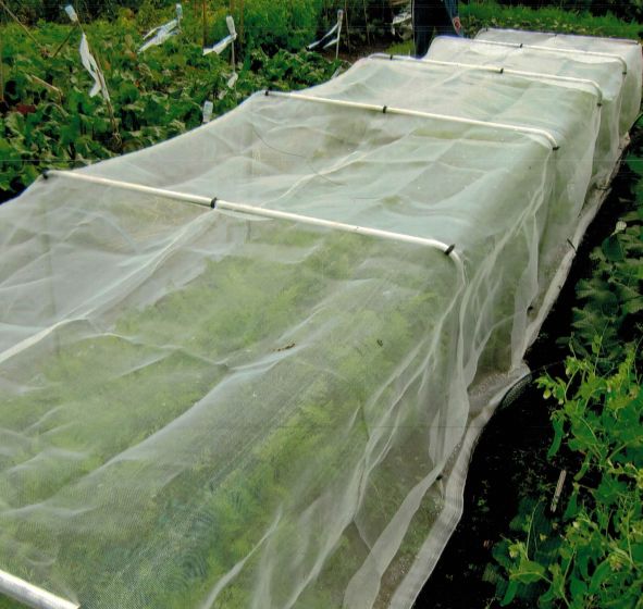 Vegetable garden with rows of plants covered by a protective netting.