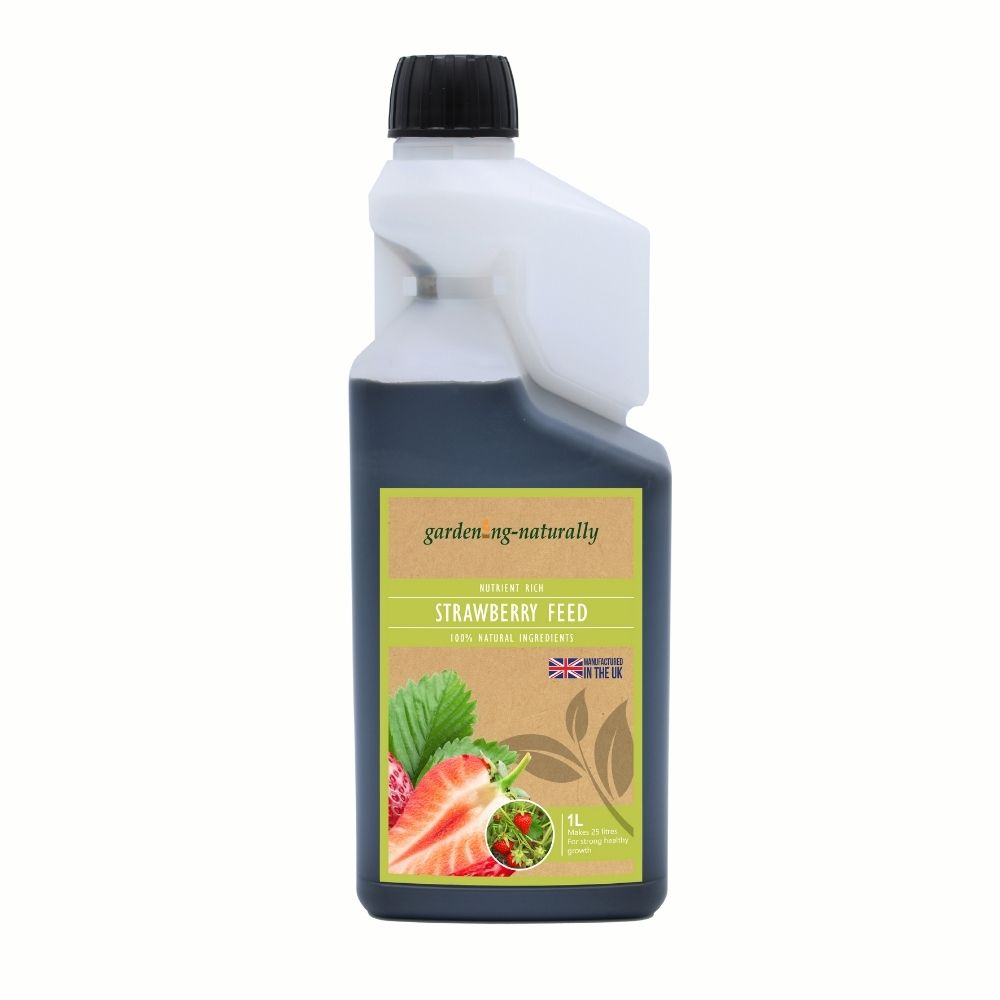 Bottle of strawberry feed with a visible label on a white background