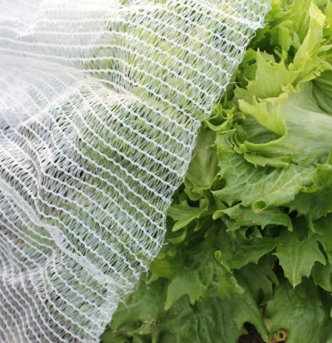 Thermacrop Garden Fleece Fabric For Crop Protection