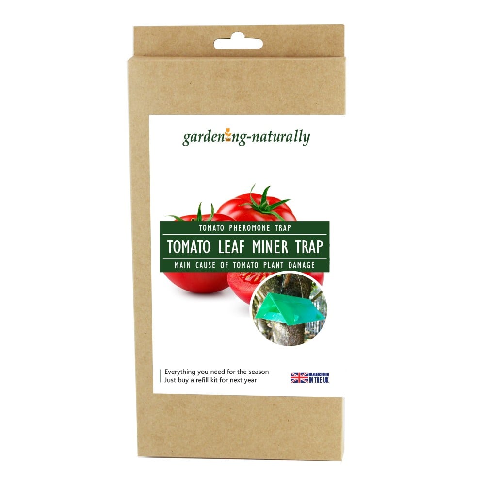 Tomato Leaf Miner Trap with Refill