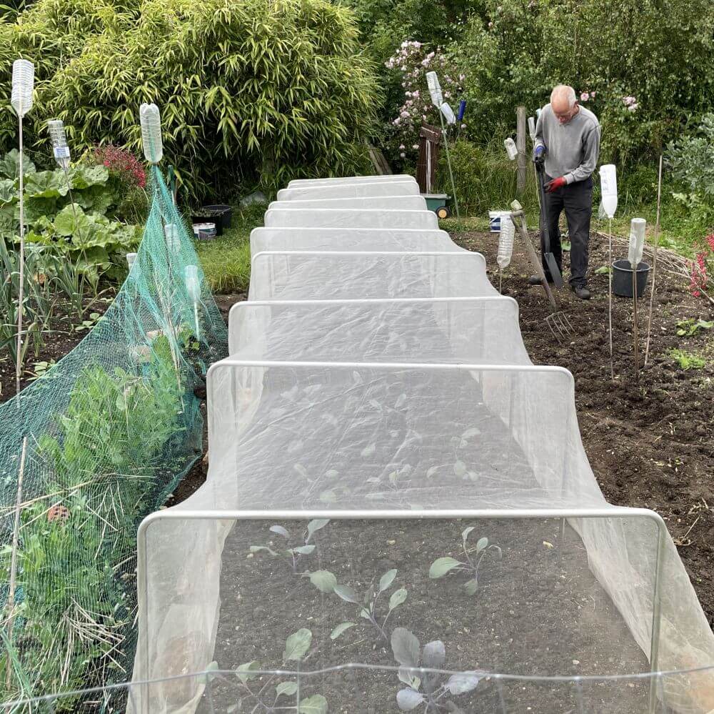 Vegetable garden with rows of plants covered with clear plastic sheeting, and a person working in the background.