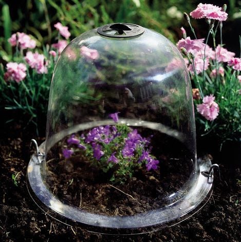 Victorian Bell Cloches