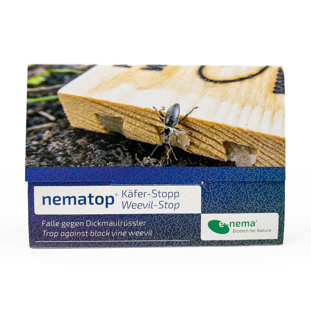 NemaTop Adult Vine Weevil Trap With Nematodes