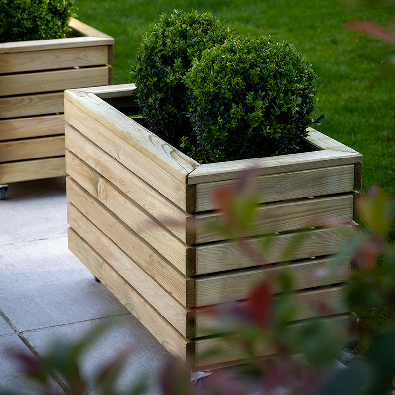 A Wooden planter on wheels with shrubs in