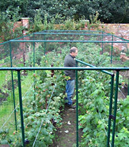 Deluxe 4' High Vegetable Cage