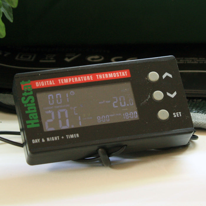 Digital Day & Night Thermostat with Timer
