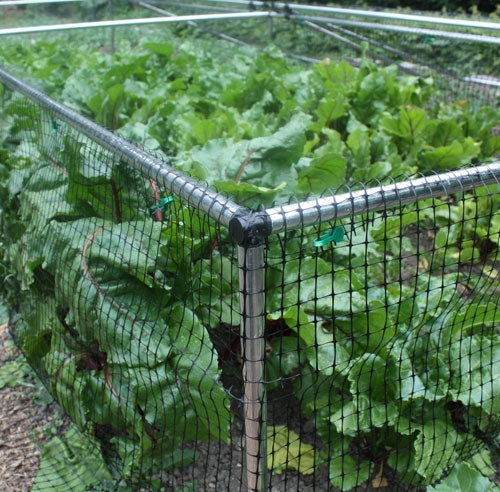 1' 6" High x 8' Wide Fruit & Vegetable Cage