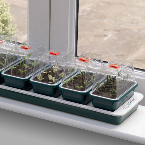 Window Sill Propagator with 14 Seed Trays and Covers
