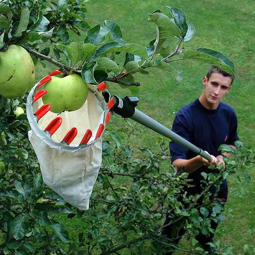 Fruit Picking Basket for Swop Top System