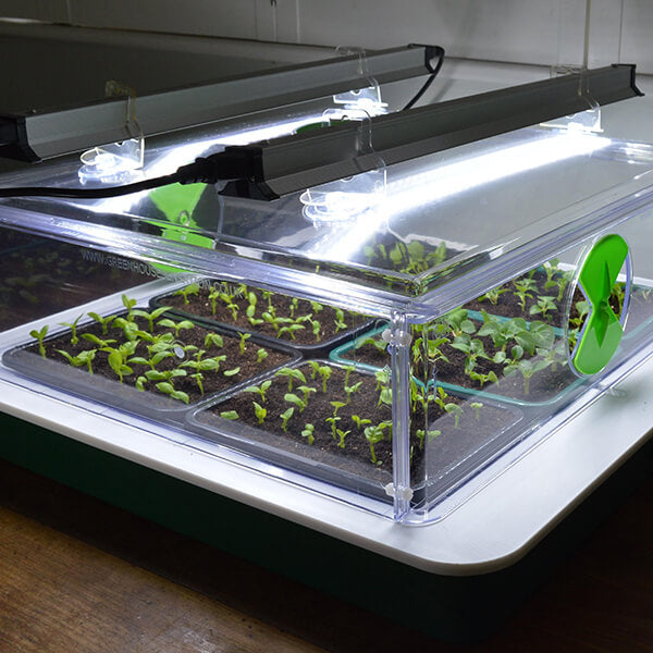 Heated propagator