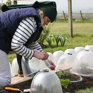 An A -to-Z on Cloches For Your Garden
