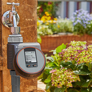 Gardening In September