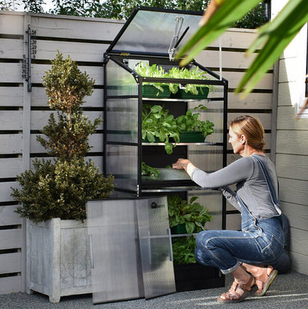 Harvst Sprout mini greenhouse