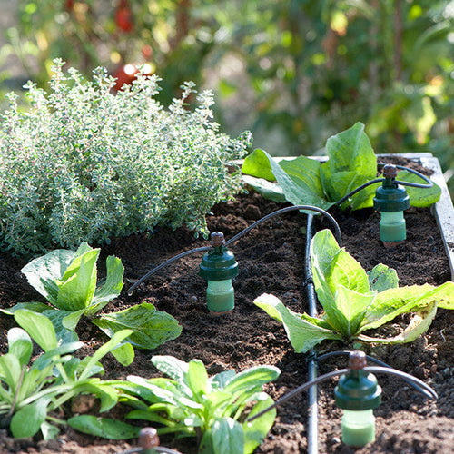 Tropf Blumat irrigation system