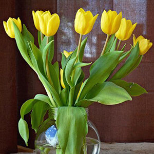 The Most Popular Mother's Day Flowers