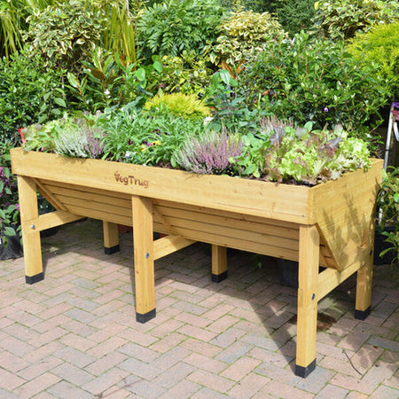 Vegtrug winter care advice