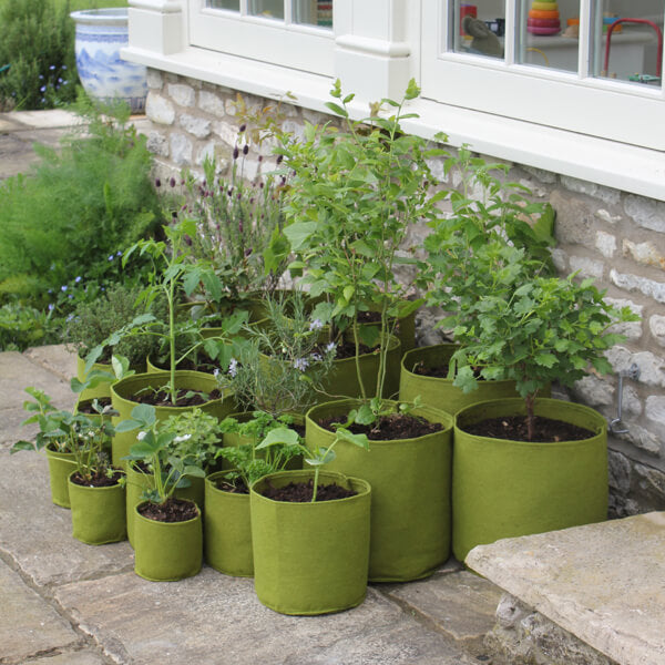 Vigoroot fabric gardening benefits