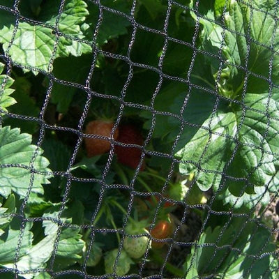 Fruit Netting