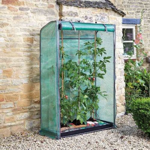 tomato greenhouse outside of a house with tomatoes growing