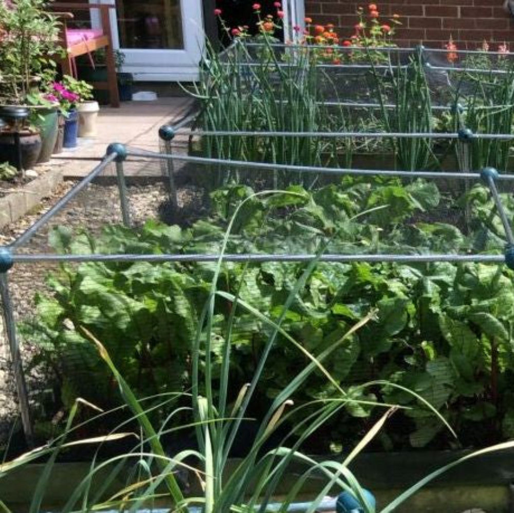 A fruit cage made of aluminum with netting, designed to protect low-growing plants, placed in a garden setting.