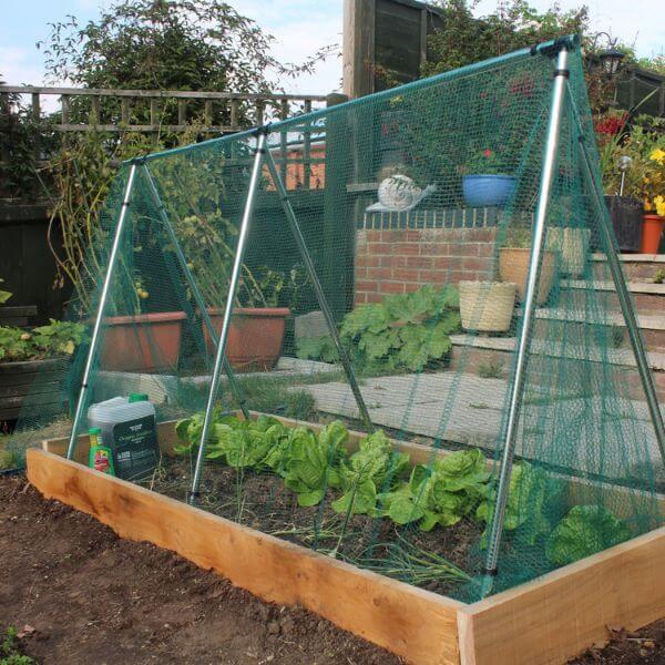 Vegetable garden with raised bed and netting in a backyard setting