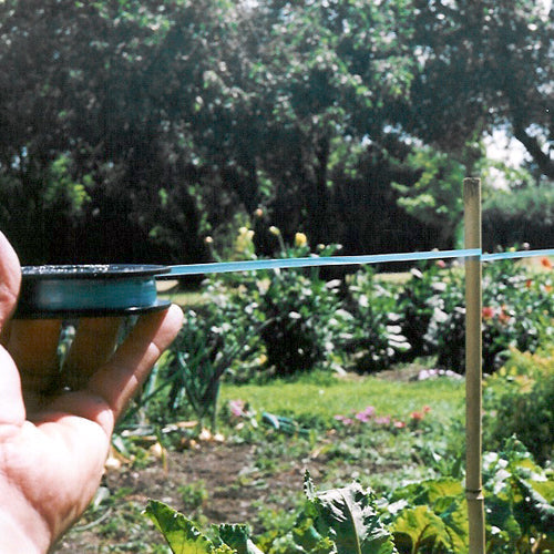 Birdscare tape on cane