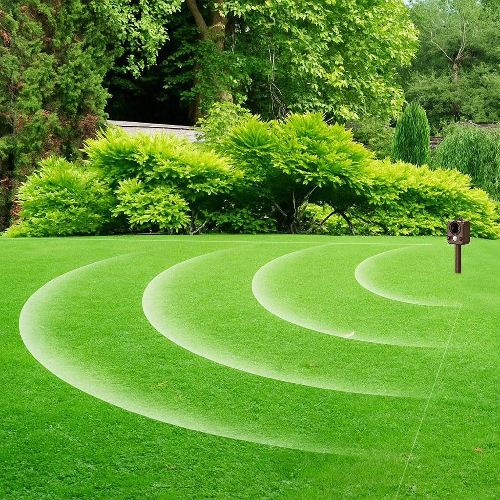 Mowed lawn with curved patterns and green bushes in the background