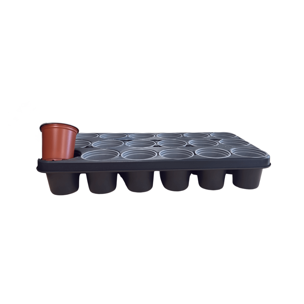 Black plastic seedling tray with a single brown pot on a white background