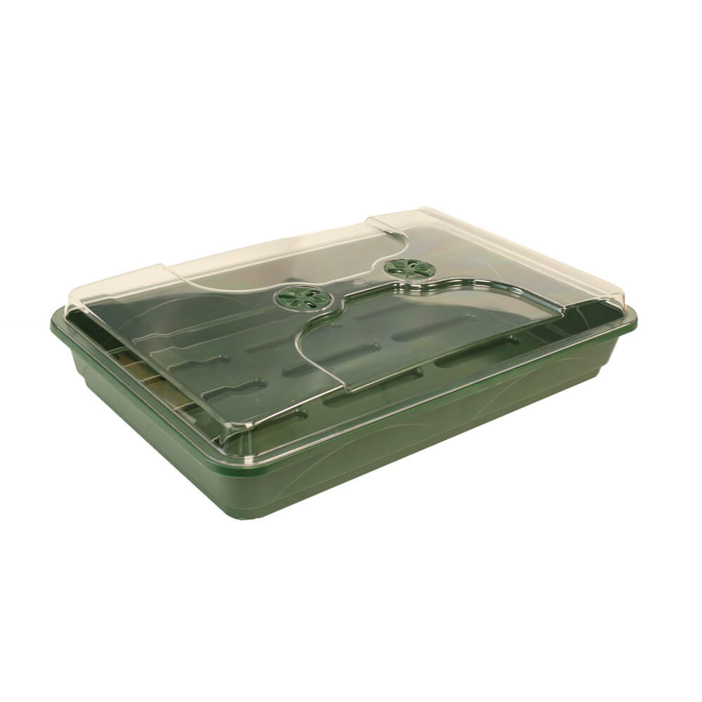 A Green Shallow Propagator Tray on a white background
