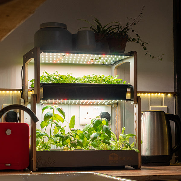 H-Mini Countertop Indoor Garden Deluxe Propagation Kit