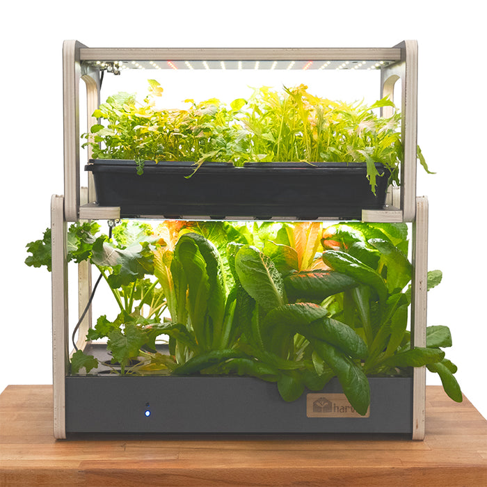 H-Mini Countertop Indoor Garden Deluxe Propagation Kit