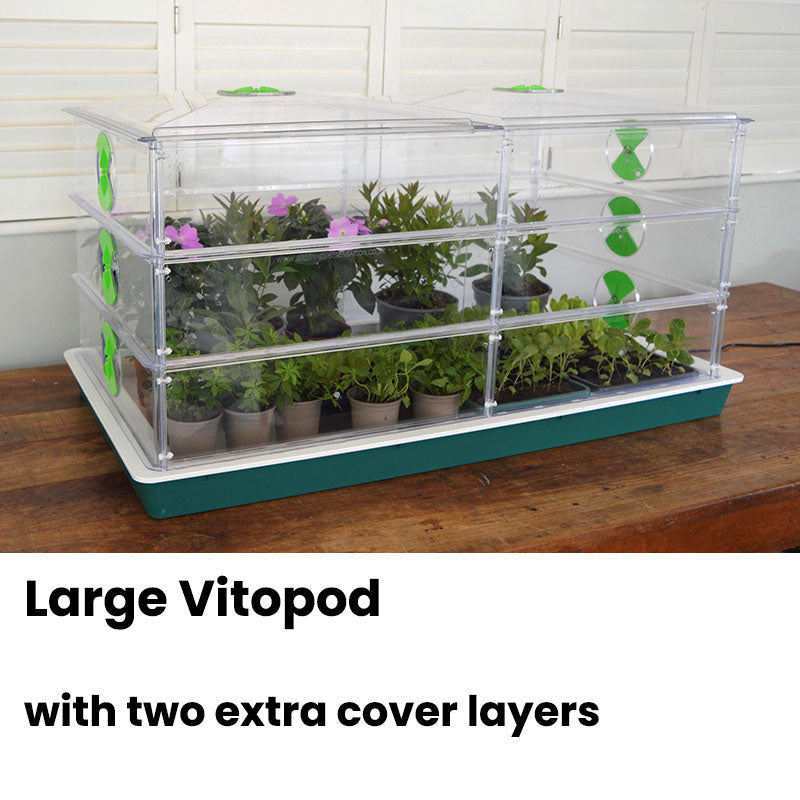 A very large Vitopod propagator with a green base and seedlings inside and led lights 