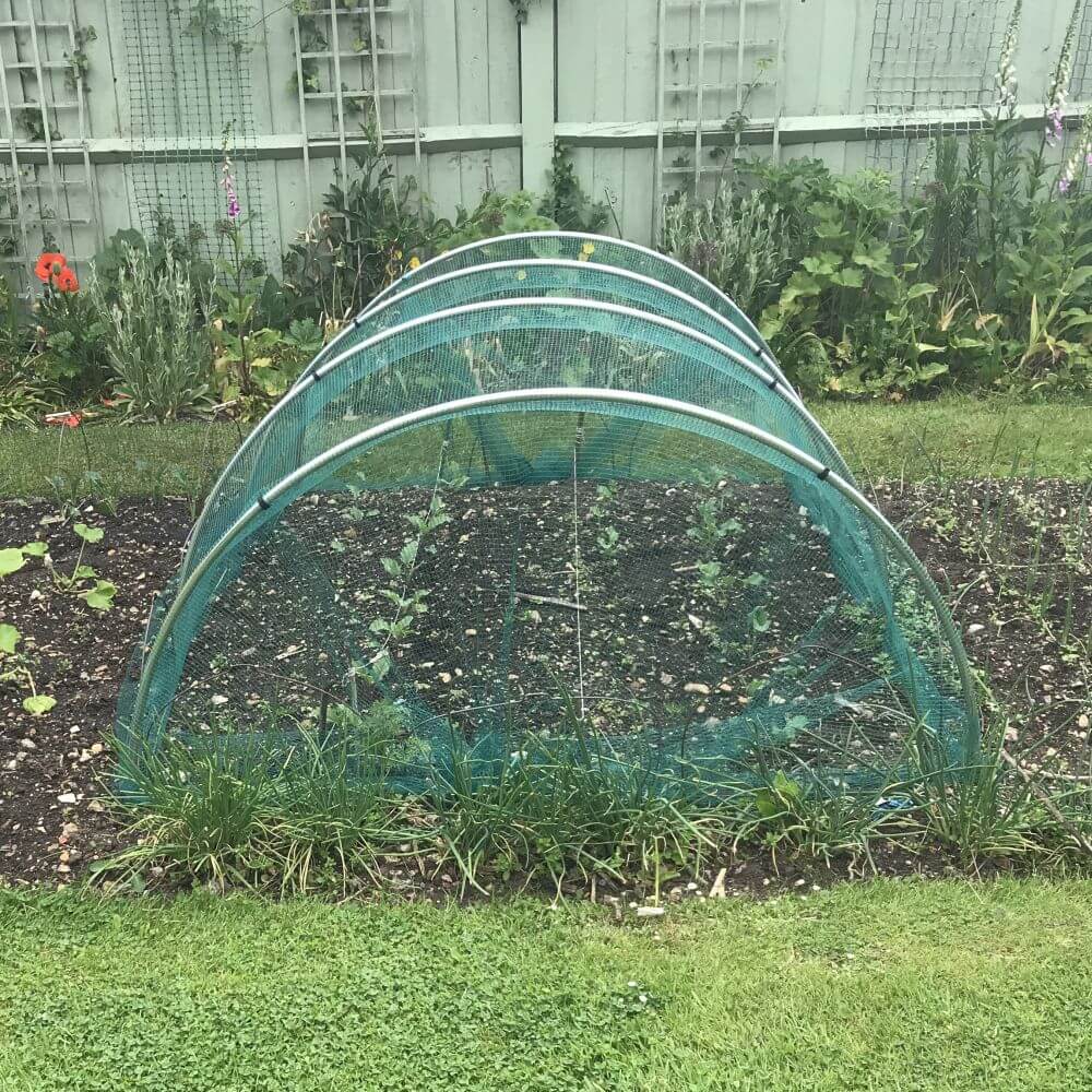 Green arch-shaped garden structure in a garden setting with plants and flowers.