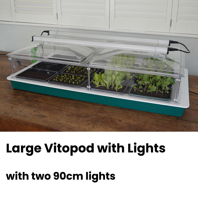 Large Vitopod with two 90cm lights on a wooden table 